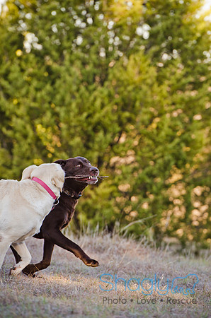 Sherman and Olivia-58