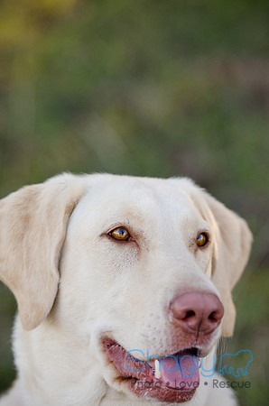 Sherman and Olivia-88