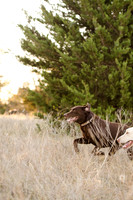 Sherman and Olivia-6