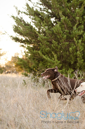 Sherman and Olivia-6