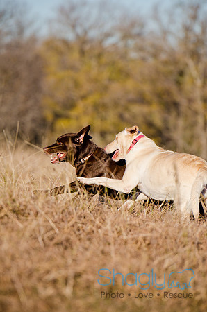 Sherman and Olivia-54