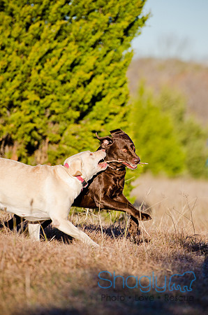 Sherman and Olivia-57