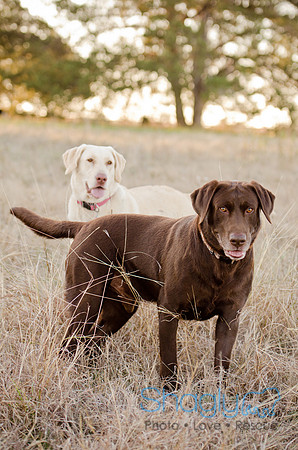 Sherman and Olivia-30