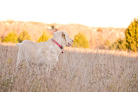 Sherman and Olivia-4