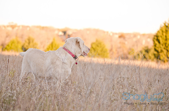 Sherman and Olivia-4