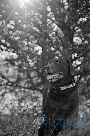 Sherman and Olivia-83