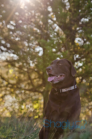 Sherman and Olivia-82