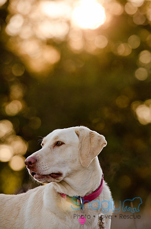 Sherman and Olivia-15