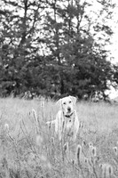Sherman and Olivia-12