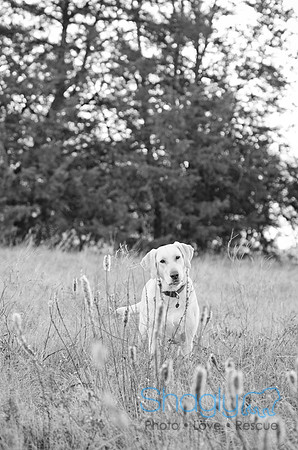 Sherman and Olivia-12