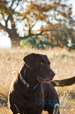 Sherman and Olivia-37
