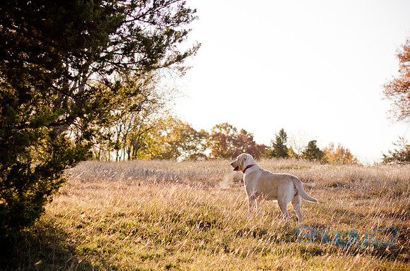 Sherman and Olivia-32