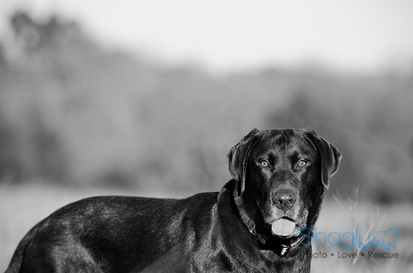 Sherman and Olivia-51