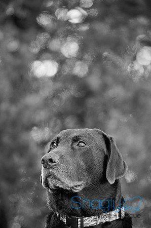 Sherman and Olivia-80