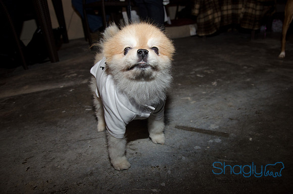 GrowlOWeen-19