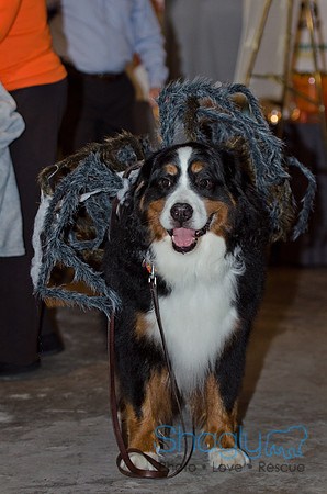 GrowlOWeen-11