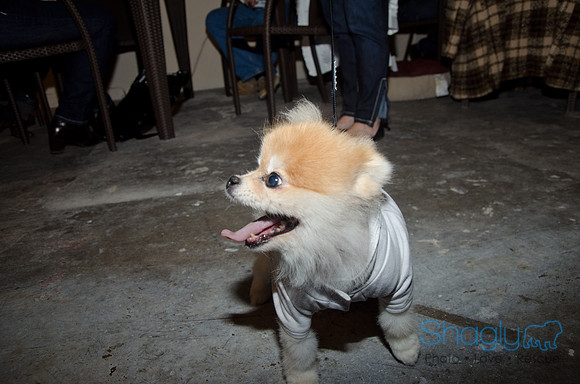 GrowlOWeen-20