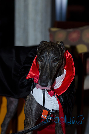 GrowlOWeen-12