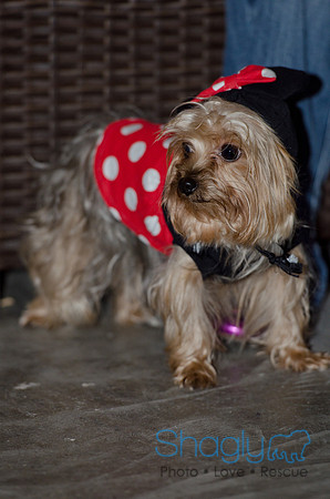 GrowlOWeen-9