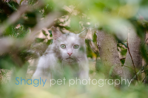 Suzi Outside-49