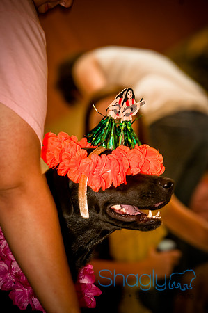 Howlin' Hawiian Luau-16
