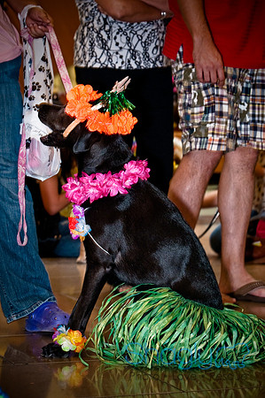 Howlin' Hawiian Luau-18