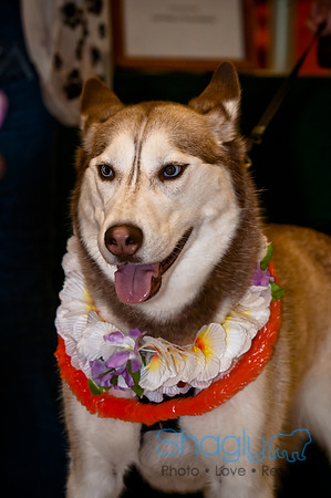 Howlin' Hawiian Luau-20