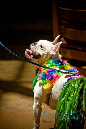 Howlin' Hawiian Luau-9