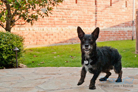 Graves Family-9