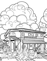 Color Me Adoptable: Goes to the Vet