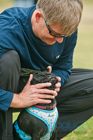Pug Love Fun Run-109