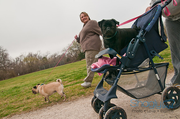 Pug Love Fun Run-2