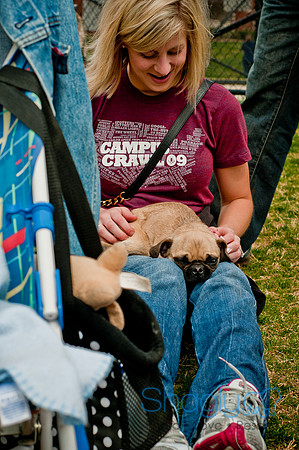 Pug Love Fun Run-206