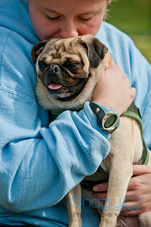 Pug Love Fun Run-189