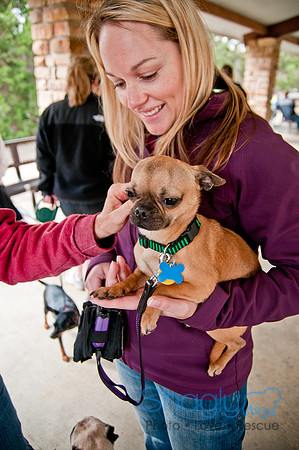 Pug Love Fun Run-79