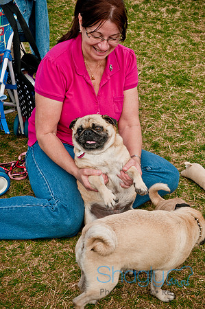 Pug Love Fun Run-230