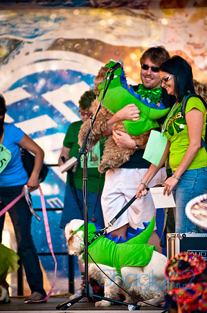 ShamRockn Roll Pet Parade-49