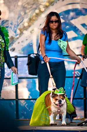 ShamRockn Roll Pet Parade-50
