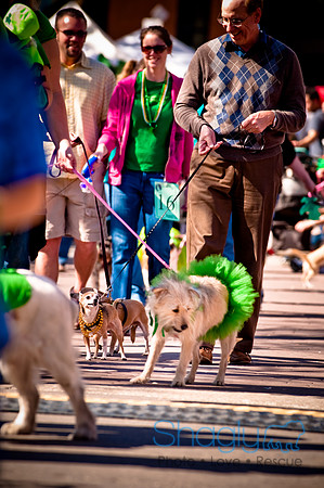 ShamRockn Roll Pet Parade-38