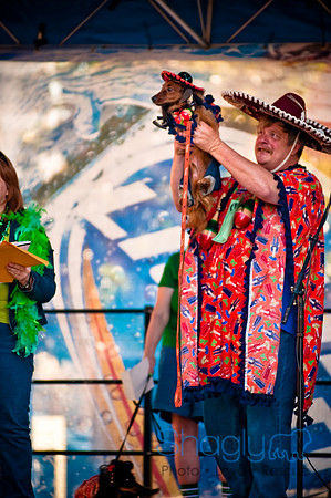 ShamRockn Roll Pet Parade-54