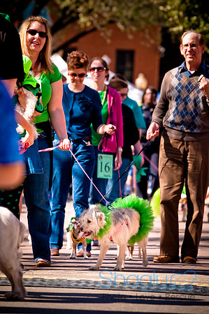 ShamRockn Roll Pet Parade-39