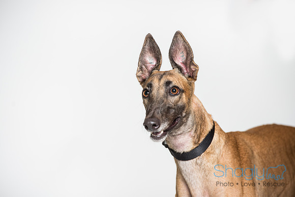 Amy