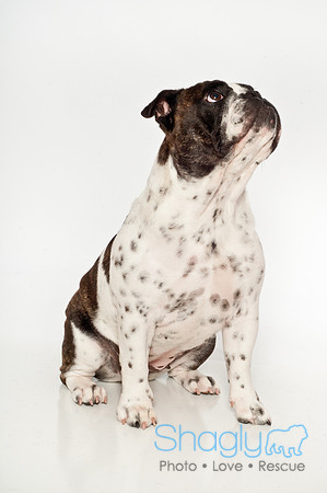 Bella-13