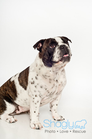 Bella-14