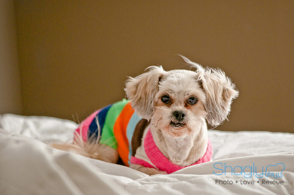 LizaandLucy-5