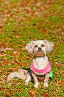 LizaandLucy-3