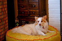 LizaandLucy-6