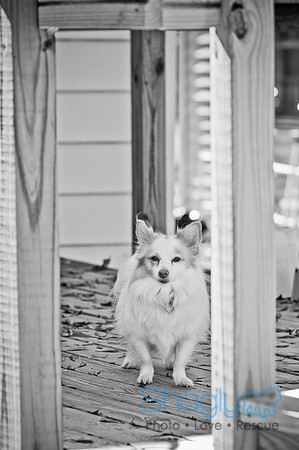 LizaandLucy-2