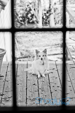 LizaandLucy-3
