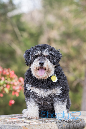 Bosley